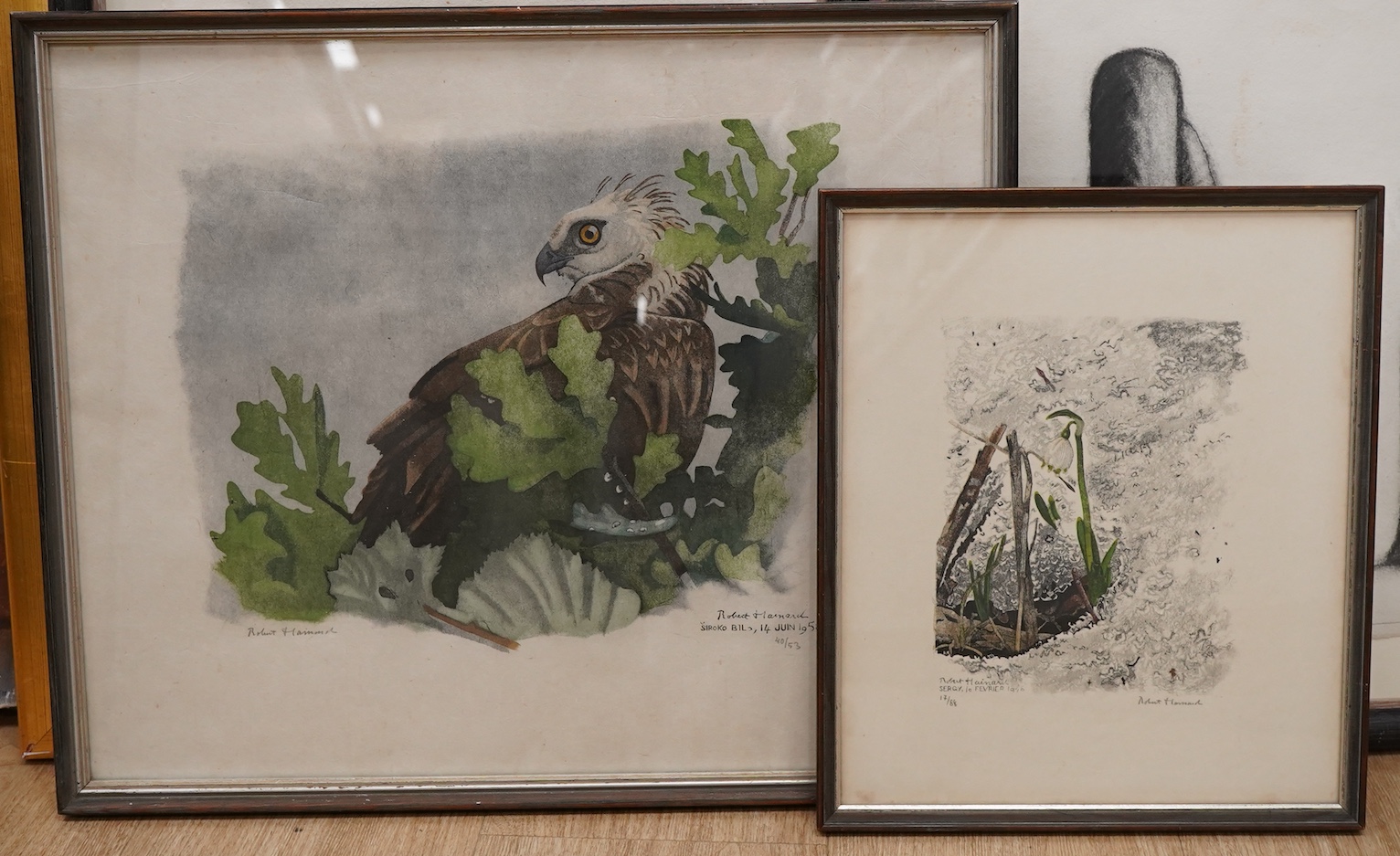 Robert Hainard (Swiss, 1906-1999), 'Perce-Neige' and 'Short-eared eagle', each signed in pencil and limited edition, The Tyron Gallery labels verso, pair of woodcuts, largest 38 x 47cm